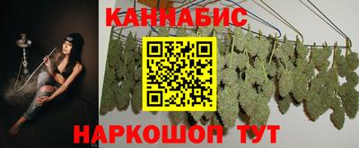 молекула духа Камышлов